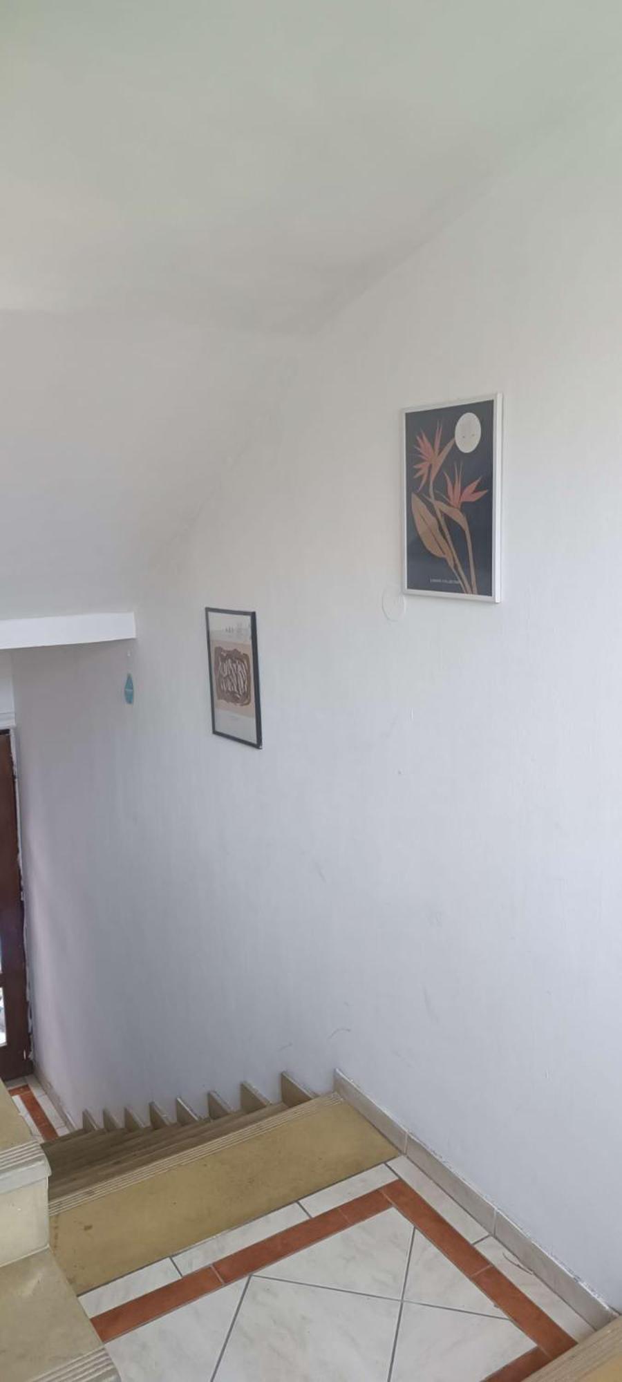Sunshine Hostel 免费洗衣机 高速上网 Belgrade Extérieur photo